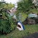 thumbnail image 4 of Teissuly Great White Shark Garden Art Statue, Lifelike Hand-Painted Carve Decoration to Gardens and Swimming Pools, Truly Unique Gift for Indoor or Outdoor Teissuly WER202309200894, 4 of 9