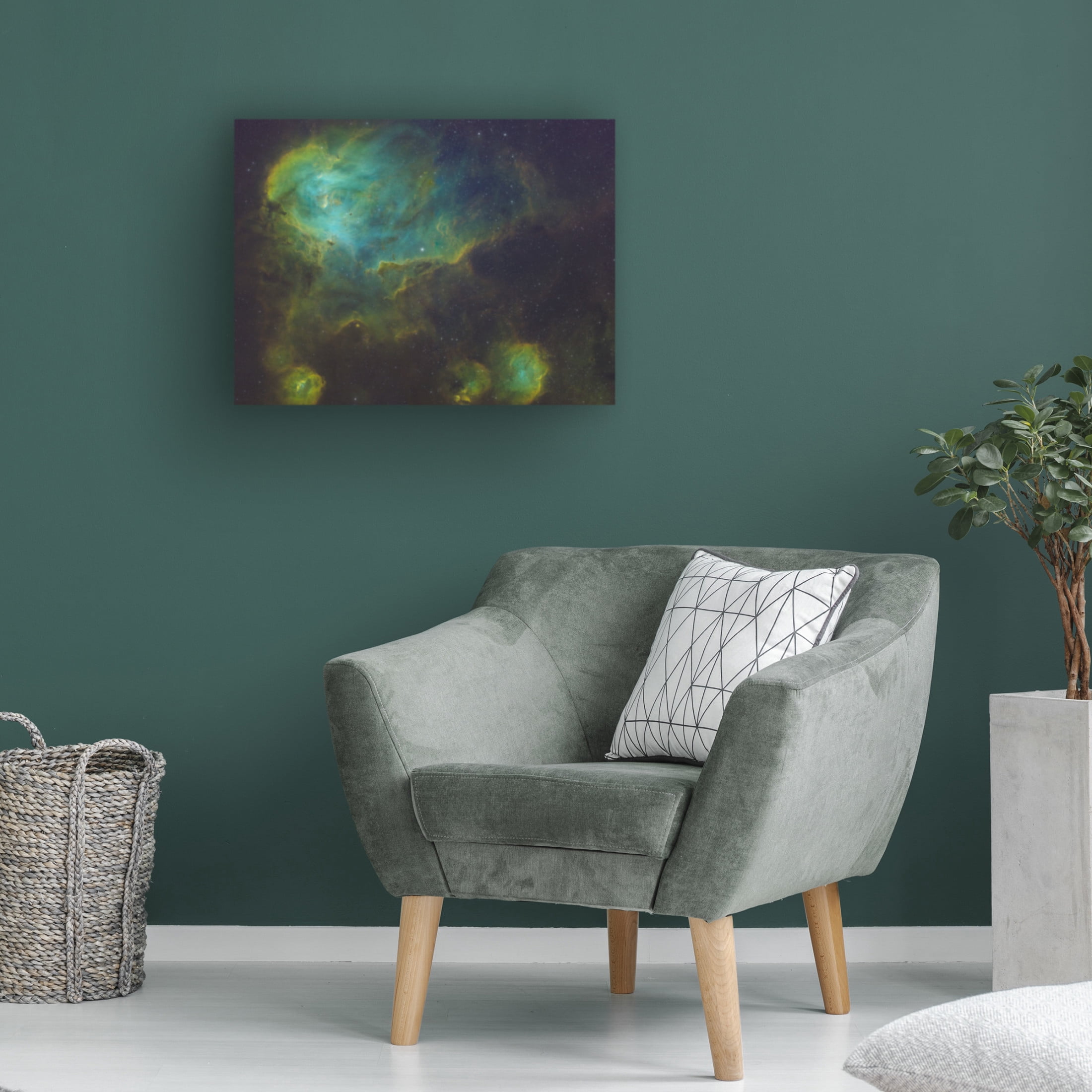 Trademark Fine Art James Zhen Yu Running Chicken Nebula Canvas Wall Art