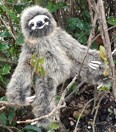 super realistic sloth baby