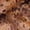 Black, variant on Women's Scarf Leopard Print Fashion Temperament Scarf Chiffon Scarf