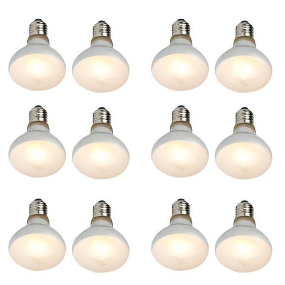 12 Pack Reptile Uvb Uva Heat Lamp Bulb for Reptiles Truly Sun-Like Bright Heat for Reptiles (100 W)
