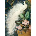 thumbnail image 2 of Botke, Jessie 25x32 White Modern Wood Framed Museum Art Print Titled - White Peacocks, 2 of 4