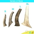 thumbnail image 6 of hotspot pets Antlers for Dogs, Naturally Shed Elk Antlers, All Natural Elk Antler Dog Chew Rawhide Alternative Made in USA - for Aggressive Chewers (Medium), 6 of 7