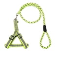 thumbnail image 2 of Pet Dog Collar Traction Rope High Quality Outdoor Anti-lost Nylon Ropes Training Leash Slip Lead Strap Collar, 2 of 8
