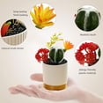 thumbnail image 3 of Planta de simulación en maceta para interior, planta tropical, bonsái de cactus, flor artificial, 3 of 5