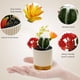 thumbnail image 3 of Planta de simulación en maceta para interior, planta tropical, bonsái de cactus, flor artificial, 3 of 5