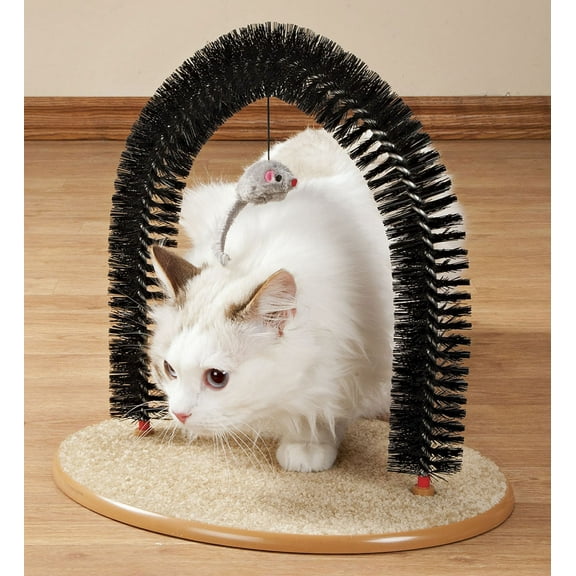 Playtime Cat Arch