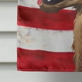 thumbnail image 4 of Carolines Treasures CK6415CHF Austrian Pinscher American Canvas House Size Outdoor-Flags, Multicolor, 4 of 4