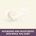 thumbnail image 3 of Aveeno Absolutely Ageless Restorative Night Cream for Face, 1.7 oz, 3 of 20
