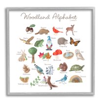Stupell Industries Woodland Alphabet Wildlife Botanicals Learning Forest Creatures Graphic Art Gray Framed Art Print Wall Art, Design by Dishique