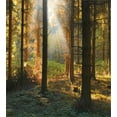 thumbnail image 3 of Forest Duvet Cover Set, Sunset View of Dark Pine Woodland in Autumn Foggy Scene Sunbeams Trunks Shadow, Decorative 3 Piece Bedding Set with 2 Pillow Shams, King Size, Orange Green, by Ambesonne, 3 of 3