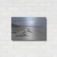 thumbnail image 3 of Luxe Metal Art 'Outer Banks Beach' by Lori Deiter, Metal Wall Art, 24"x16", 3 of 8