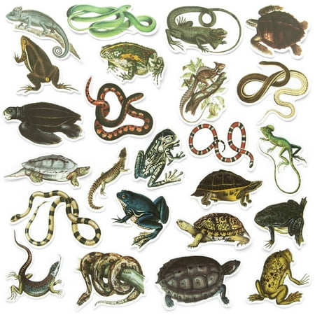 UPC: 0195158477795 | Reptiles Die Cut Stickers by Recollections™