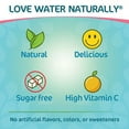 thumbnail image 3 of Stur Liquid Water Enhancer Boldly Blue & Blackberry -- 1.62 fl oz Pack of 4, 3 of 4