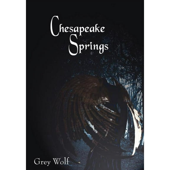 Chesapeake Springs, (Hardcover)