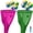 Red + Green, variant on Granny Pants Yard Game with Balls, Oversized Outdoor Family Party Toss Game