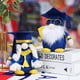 thumbnail image 3 of Muñeco sin rostro de la temporada de graduación Happy Little Angel D. Octor Hat Rudolph Fiudx, 3 of 6