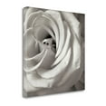 thumbnail image 2 of Tangletown Fine Art Florison - 43 by Alan Blaustein Poster Frame - 25 x 25 x 1.5 in., 2 of 2