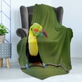 thumbnail image 4 of Wildlife Soft Flannel Fleece Blanket, Keel Billed Toucan Colorful on Branch Tree Rainforest Park Tropical Bird America, Cozy Plush for Indoor and Outdoor Use, 50" x 60", Multicolor, by Ambesonne, 4 of 5