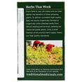 thumbnail image 5 of Traditional Medicinals Herbal Tea Organic Roasted Dandelion Root 16 Tea Bags, 5 of 5