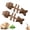Gall fruity, variant on 2026 New Creative Catnip Silvervine Chew Toy,Natural Fishbone Catnip & Silvervine Chew Stick for Cats, Wooden Interactive Dental Care Chewing Plaything