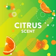 (4 pack) Scrubbing Bubbles Disinfectant Bathroom Grime Fighter Spray, Citrus, 32 fl oz