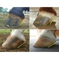 thumbnail image 5 of The Essential Hoof Book: The Complete Modern Guide to Horse Feet - Anatomy, Care and Health, Disease Diagnosis and Treatment (Hardcover), 5 of 5