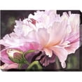 thumbnail image 2 of Outdoor Living and Style Pink and Green Majesty Outdoor Canvas Rectangular Wall Art Decor 40" x 30", 2 of 2