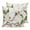 Beige Green, variant on Pillow Covers 20x20 Set of 2, Botanical Flowers Square Throw Pillow Covers for Couch/Sofa/Living Room, Vintage Rustic White Floral Leaves Decorative Soft Pillowcases for Couch Throw Pillows