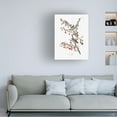 thumbnail image 2 of Trademark Fine Art Pictufy Tree Sparrow From Birds of America 1827 Canvas Wall Art, 2 of 4