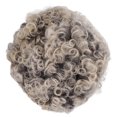 thumbnail image 1 of Short Grey Curly , Women Short Curly   Breathability  Texture  For Daily Wear, 1 of 8