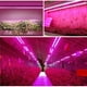 500W 1,64ft LED Plante Grandir Lumière Plein Spectre Haut Rendement Intégré Luminaire – image 13 sur 19
