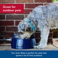 thumbnail image 4 of Dispensador de agua para perros y gatos para exteriores Coastal Pet Bergan Auto-Wata, 4 of 8