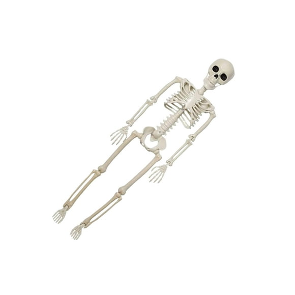 Maytalsory Creepy Ghostly Giant Skeleton For Scary Outdoor Halloween Decor Cemetery Scenes 1
