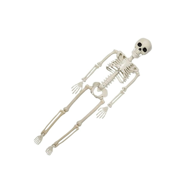 Shengyu ABS Skeleton Decor For Halloween Materials For Safe Durable Outdoor Halloween Decorations Outdoor 1
