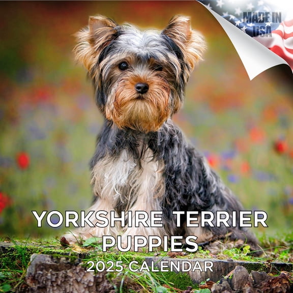 2025 2026 Yorkshire Terrier Puppies Calendar - Dog Breed Monthly Wall Calendar - 12 x 24 Open - Thick No-Bleed Paper - Giftable - Academic Teacher's Planner Calendar Organizing & Planning - Made USA