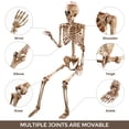 thumbnail image 3 of Ayieyill 5.4FT Skeleton and Dog Skeleton Halloween Decorations Outdoor Indoor, 2Pcs Posable Skeleton Walking Dog for Halloween Decor, 3 of 11