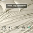 thumbnail image 3 of Superior Egyptian Cotton Solid Pillowcase Set, Standard, Linen, 3 of 5