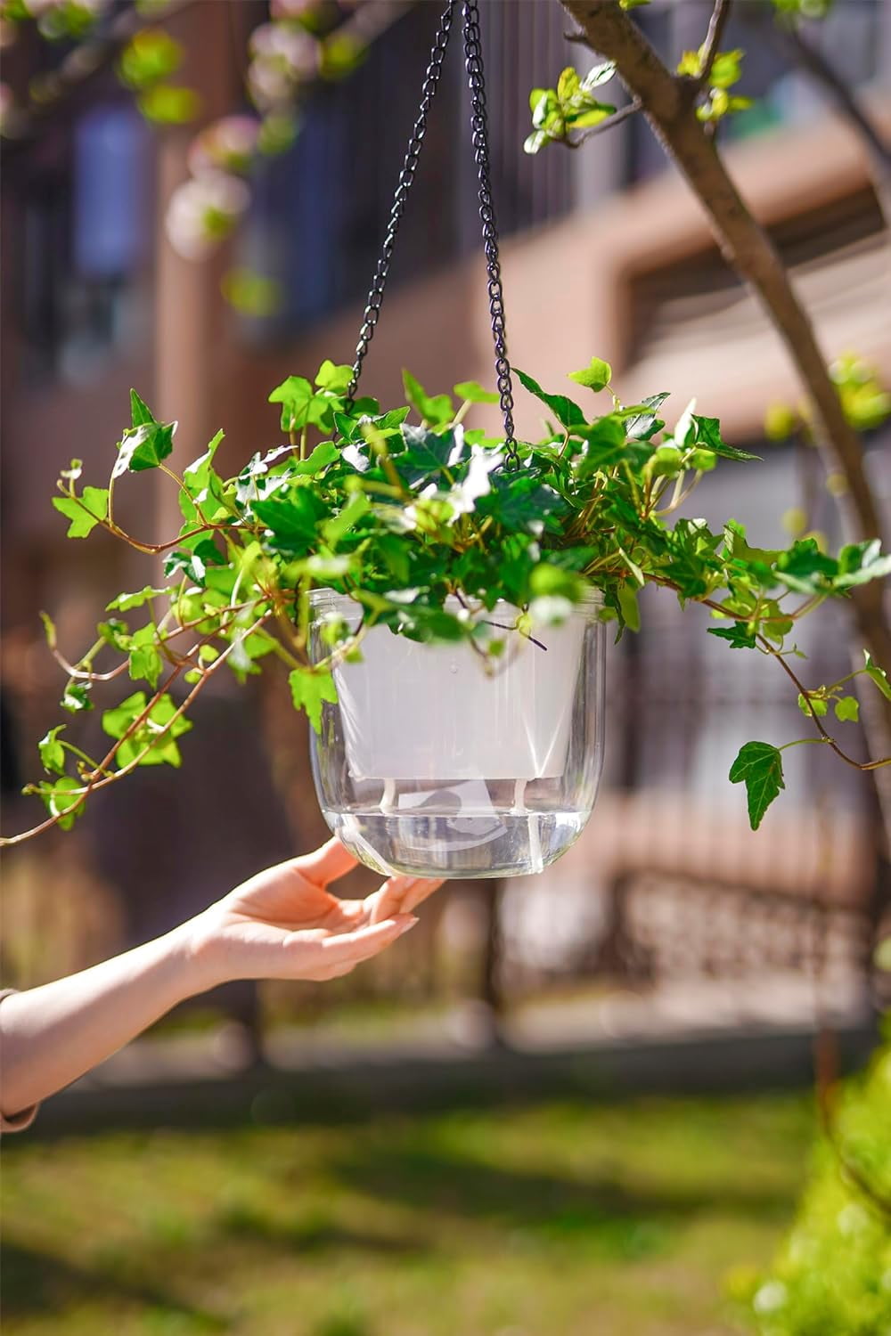 2 Pack Self Watering Hanging Planters Indoor Flower Pots, 6.5 Inch Outdoor Hanging Basket, Plant Hanger with Hooks Drainage Holes for Garden Home