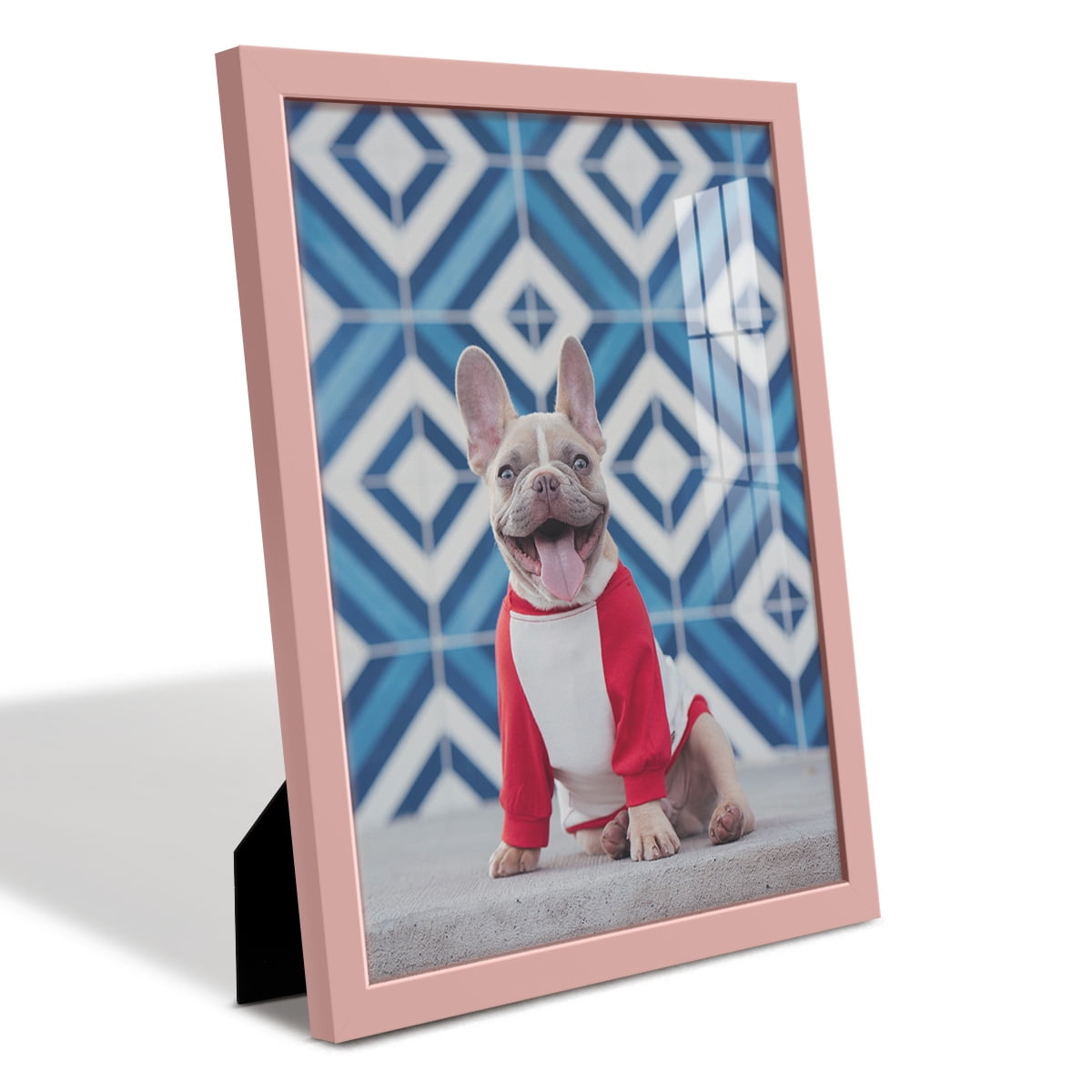 Modern 11 in. x 14 in. Pink Picture Frame (Set of 4)