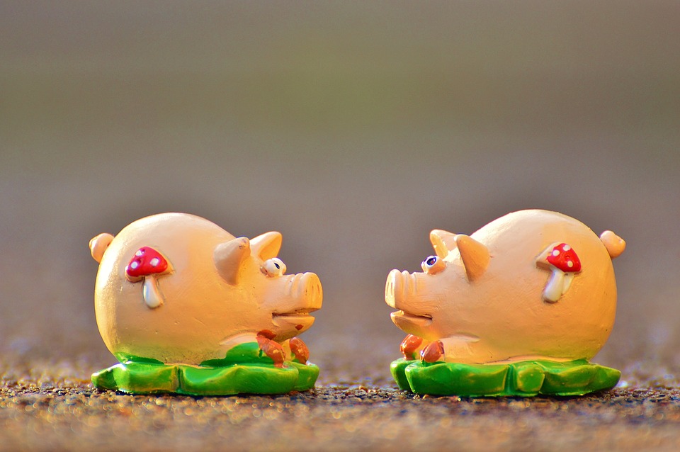 Piglet Cute Lucky Pig Luck Sow Lucky Charm20 Inch By 30 Inch Laminated