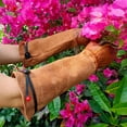 thumbnail image 3 of par de guantes de jardinería, guantes resistentes a las espinas de poda de rosas, guantes de jardinería para mascotas de flores, 3 of 5
