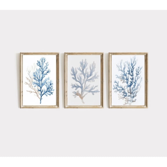 UNFFRAMED Blue Coral Set Of Three, Minimalist Coastal Poster Set, Beach House Wall Art, Nautical Decor, Modern Poster, E785 Set 3 Prints 8x12