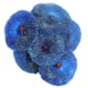 thumbnail image 5 of Acuario Artificial sweethay Coral decoración planta simulación Azul 2piezas, 5 of 6