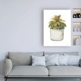 thumbnail image 3 of Trademark Fine Art 'Mixed Greens Succulent III' Canvas Art by Lisa Audit, 3 of 3