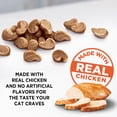 thumbnail image 4 of Meow Mix Irresistibles Cat Treats - Soft With White Meat Chicken, 17-Ounce Canister, 4 of 6