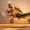 Drifting Sports Plane, variant on Elephant Stock Abandoned Old Plane Wall Art - Horizontal Multi Panel Canvas - Living Room Wall Decor - Transportation Multi Panel - Beige And Green Decor - 43" x 27"