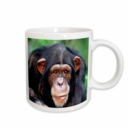 

3dRose Almost Human Chimpanzee Ceramic Mug 15-ounce