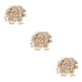 thumbnail image 2 of kurtrusly Fashionable Wooden Clothespins - Durable And Convenient To Clips For Photo And Decoration Multipurpose Wooden Clips 25mm（200） 3PCS, 2 of 6