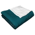 thumbnail image 2 of IT House of Fears Warner Bros Kids Silk Touch Throw Blanket, 50 x 60 inches, 2 of 5